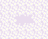 Daisy Multi Colour