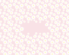 Daisy Multi Colour