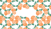 Citrus Grove