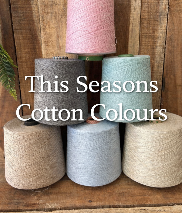 This Seasons Cotton Jumper Colours